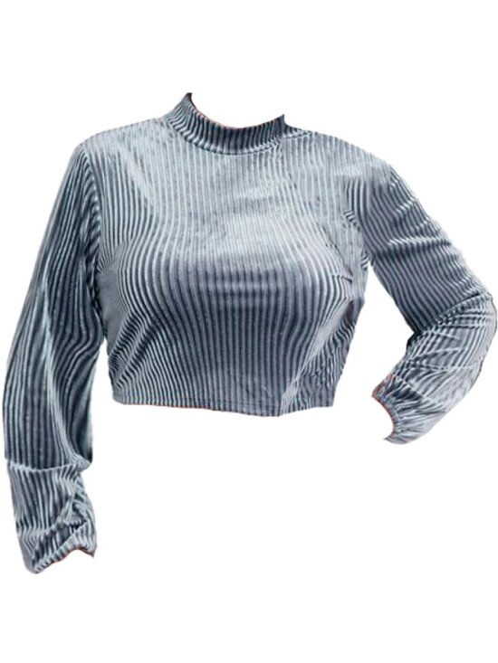 Tops - Ribbed Velvet Mock Neck Long Sleeve Cropped Top